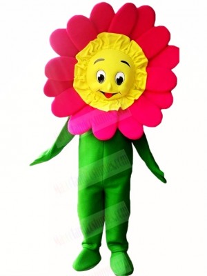 High Quality Sunflower Mascot Costume Cartoon	