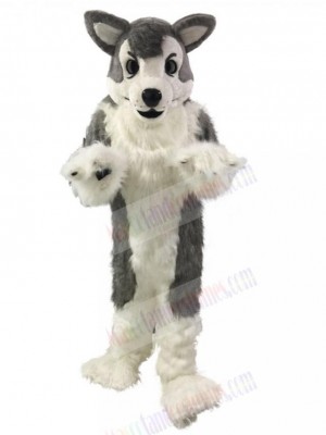 Long Hair Gray Wolf Husky Dog Mascot Costume Animal