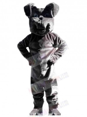 Dog mascot costume