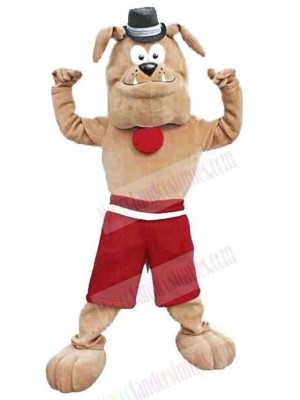 Cute Brown Bulldog Mascot Costume Animal with Black Hat