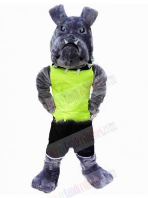 Dog mascot costume