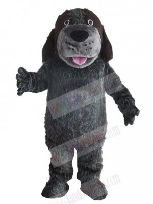 Lovely Dark Grey Husky Dog Mascot Costume Animal