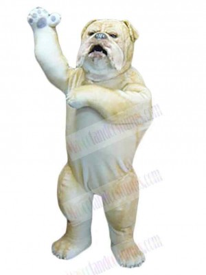 Wild Bulldog Mascot Costume Animal Adult