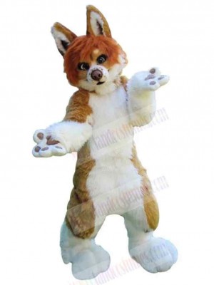 Dog mascot costume