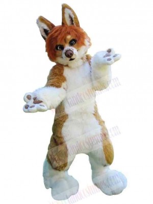 Super Cute Brown and White Dog Mascot Costume Animal