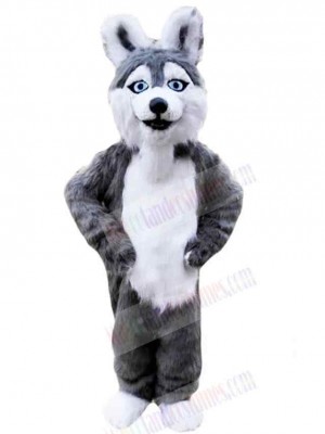 Dog mascot costume