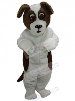 Funny St Bernard Dog Mascot Costume Animal