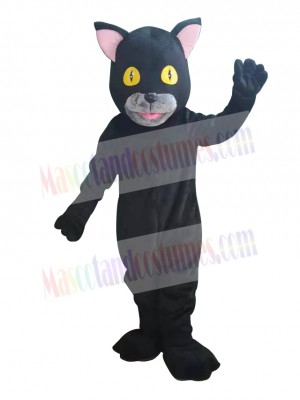 Cat mascot costume