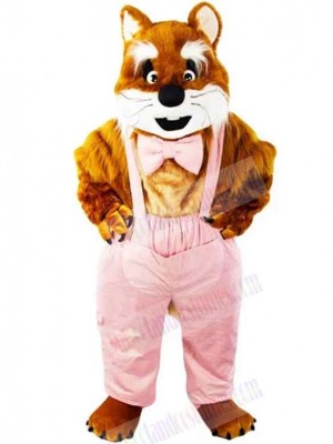 Cat mascot costume