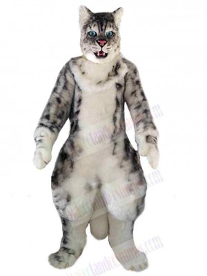 Strong American Shorthair Cat Mascot Costume Animal