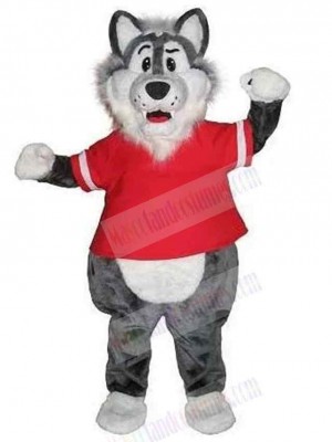 Wolf mascot costume
