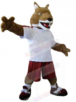 Wolf mascot costume