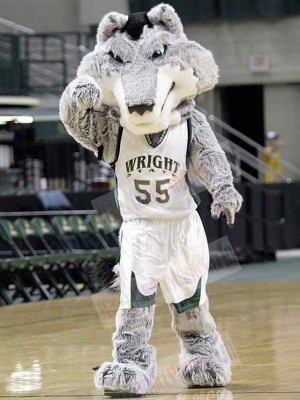 Wolf mascot costume