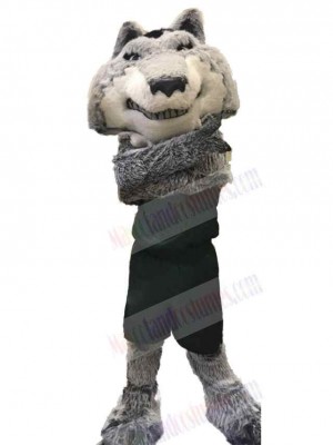 Wolf mascot costume