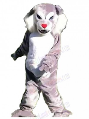 Wolf mascot costume