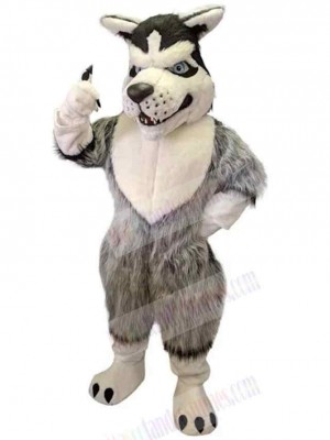 Wolf mascot costume
