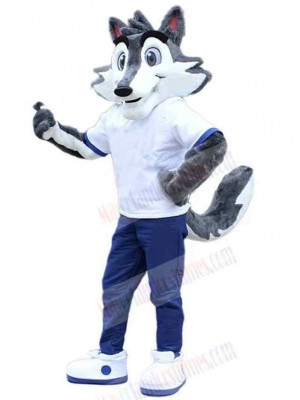 Wolf mascot costume
