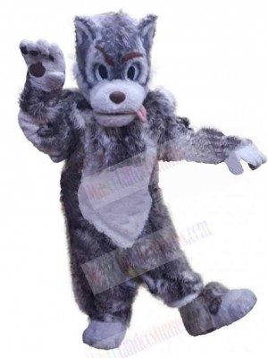 Wolf mascot costume