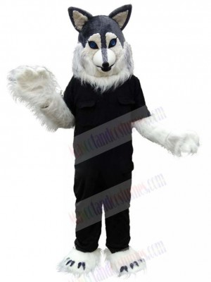 Wolf mascot costume