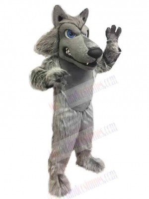 Wolf mascot costume