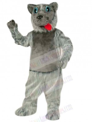 Wolf mascot costume