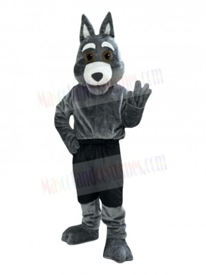 Coyote mascot costume