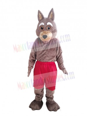 Brown Coyote Mascot Costume Animal