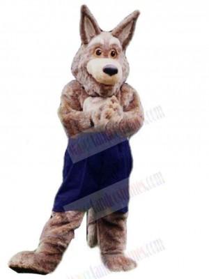Wolf mascot costume