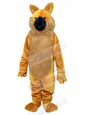 Wolf mascot costume