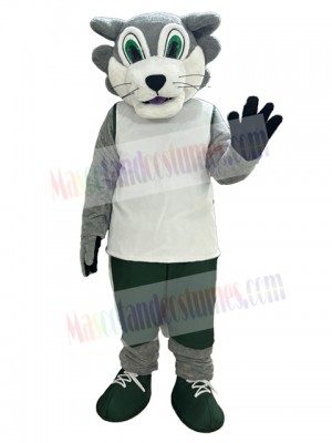 Wolf mascot costume