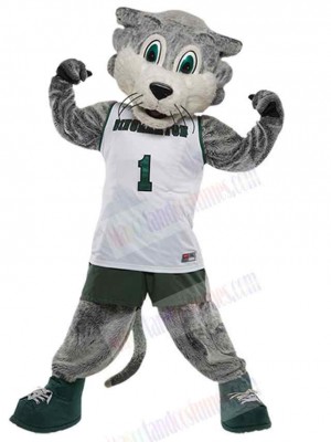 Wolf mascot costume