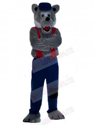 Wolf mascot costume