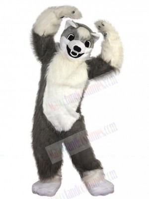 Wolf mascot costume