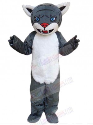Wolf mascot costume