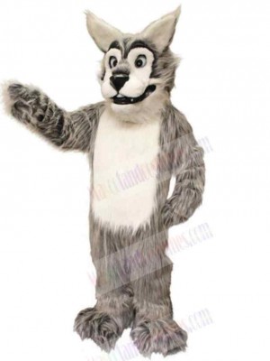 Wolf mascot costume