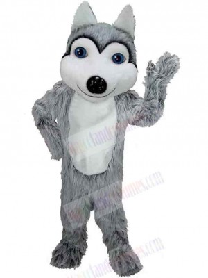 Wolf mascot costume