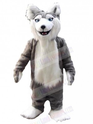 Wolf mascot costume
