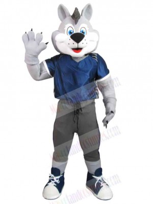 Wolf mascot costume
