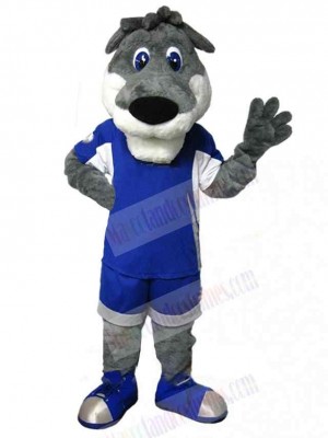 Wolf mascot costume