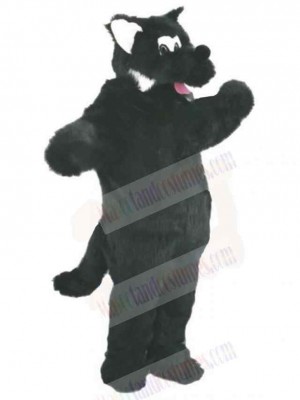 Wolf mascot costume