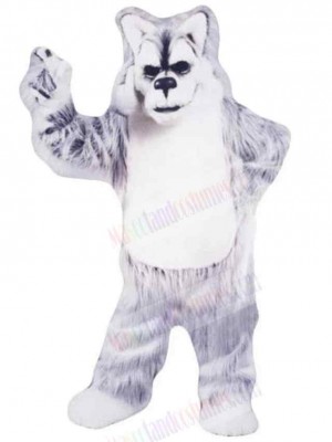 Wolf mascot costume