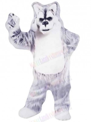 Gray and White Older Wolf Mascot Costume Animal