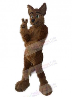 Wolf mascot costume