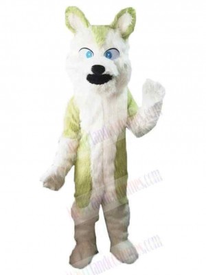 Wolf mascot costume