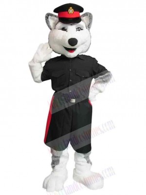 Wolf mascot costume