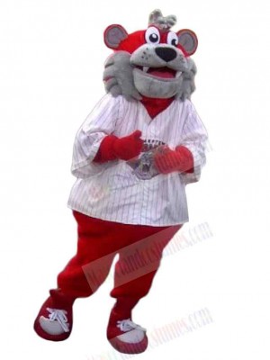 Tiger mascot costume