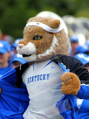 Tiger mascot costume