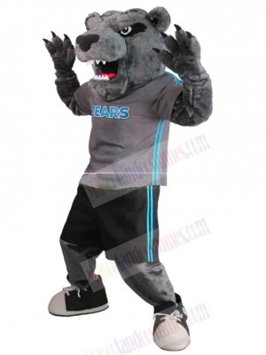 Tiger mascot costume