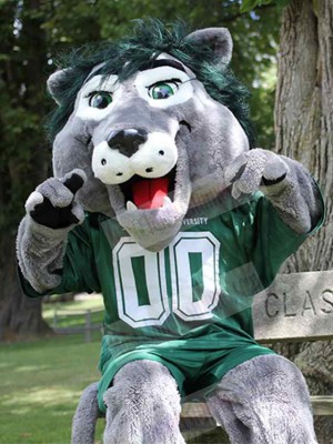 Gray Lion Mascot Costume Animal in Green T-shirt