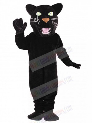 Panther mascot costume